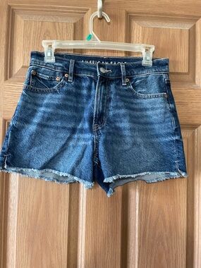 American Eagle STRIGID Shorts Size 2